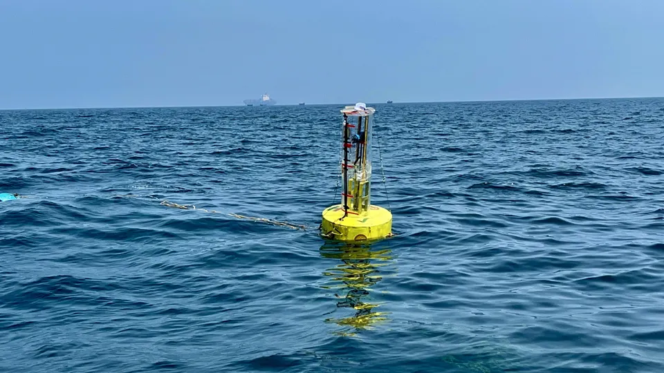 IIT sea waves