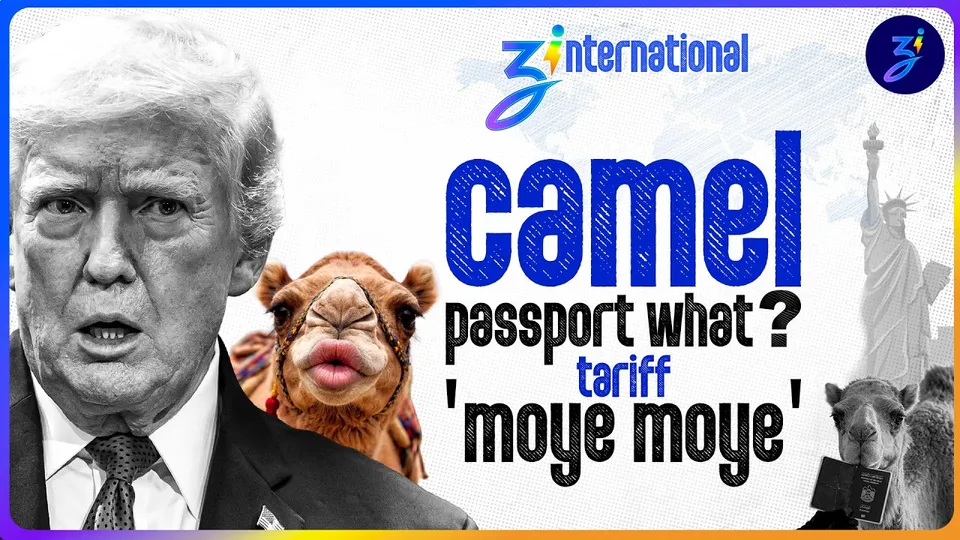 tariff trauma to camel kyc: what is happening? | zinternational ep.7