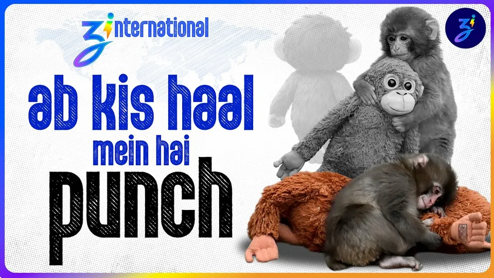 japanese baby monkey punch | trump iran airstrike confusion | zinternational ep.8