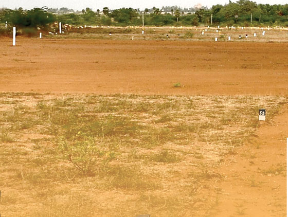 சதுரஅடிக்கு 3 ரூபாய்! கோடிகளை சுருட்டும் ஓ.பி.எஸ். டீம்!