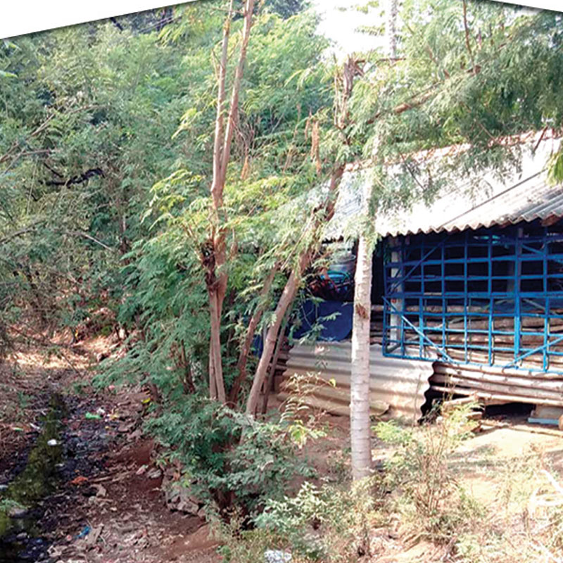 செய்யாத வேலைக்கு செலவுத்தொகை ரூ.14,79,000/-  -கொள்ளைபோகும் மக்கள் பணம்!