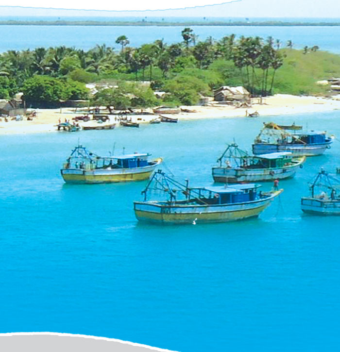 மீனவர்களை விழுங்கும் "கடல் பாம்பு'! -மோடி அரசின் திட்டம்!