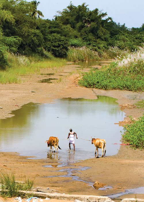 காவிரியில் தமிழகம் வஞ்சிக்கப்பட்டது ஏன்?