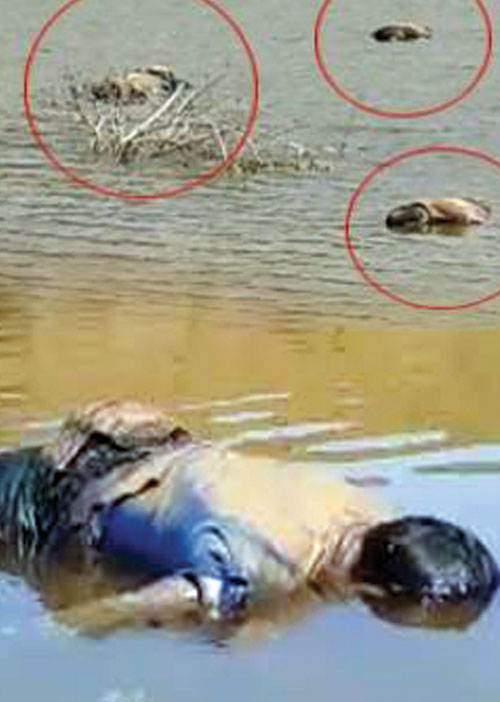 முதல்வர் மாவட்டத்தில் மோசடி ஏஜெண்டுகள்! -அநியாயமாய் கொல்லப்படும் தமிழர்கள்!