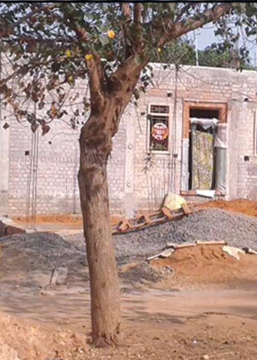 அ.தி.மு.க. பிரமுகரின் "அடேங்கப்பா' வேலை!