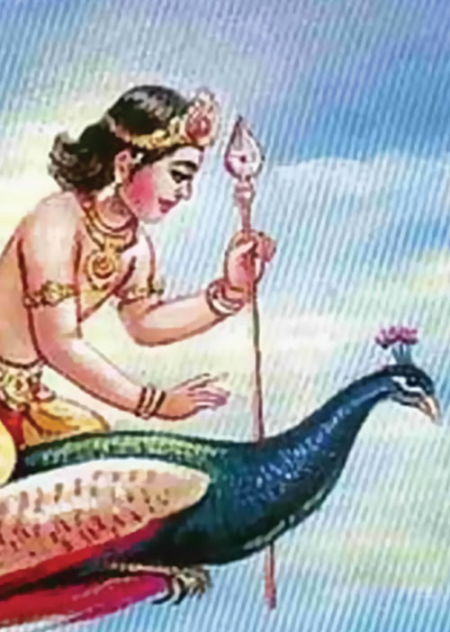 12 லக்னத்தினரின் ஆரோக்கியம்! -முனைவர் முருகு பாலமுருகன்