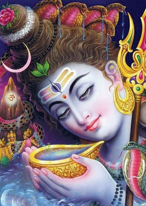 பூமி தோஷம் போக்கும் சோழிப் பிரசன்னம்! - பிரசன்ன ஜோதிடர் ஐ. ஆனந்தி