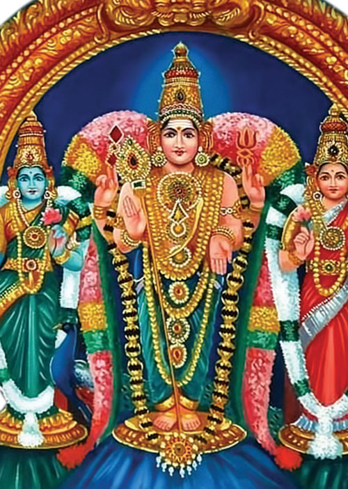 இளமைத் திருமணம் - முனைவர் முருகு பாலமுருகன்