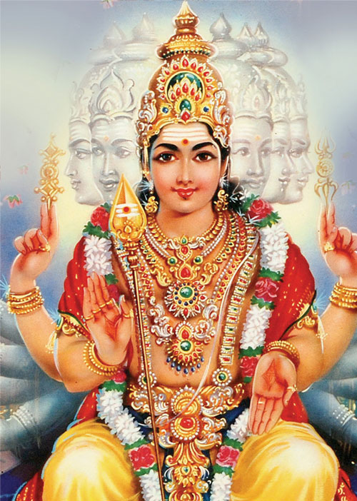 ஜோதிடபானு "அதிர்ஷ்டம்' சி. சுப்பிரமணியம் பதில்கள்27