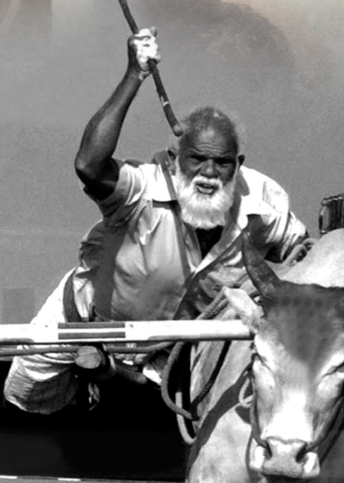 சங்ககால ஊர்திகள்