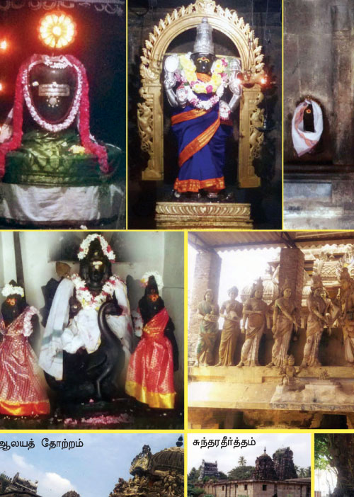 சொல்லைச் செயலாக்கும் சொன்னவாறு அறிவார்!