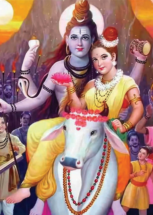 மனைவி வந்தபின் மறுமலர்ச்சி!