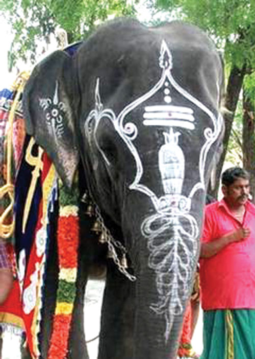 மாவலி பதில்கள்