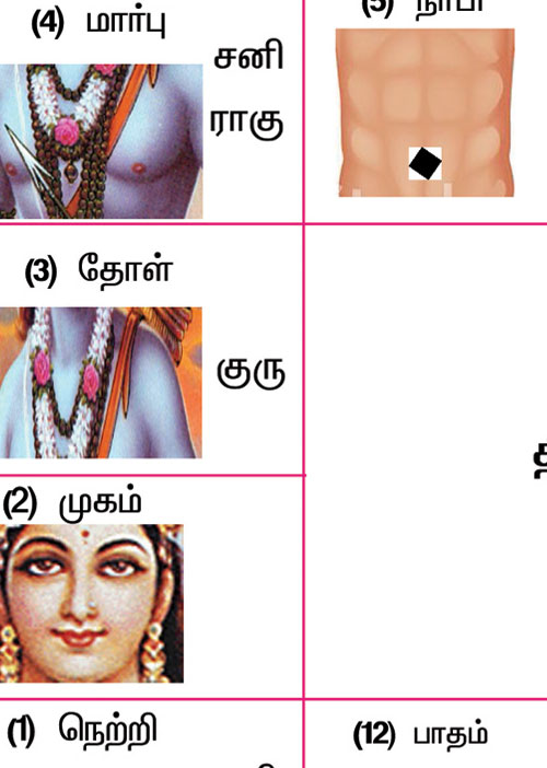 போராட்ட வாழ்வை சுபிட்சமாக்கும் காவடி வழிபாடு!
