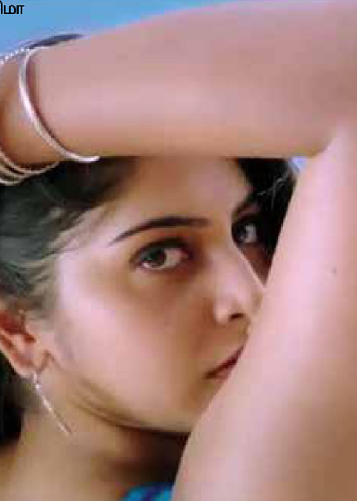 பிட்ஸ் பஜார்