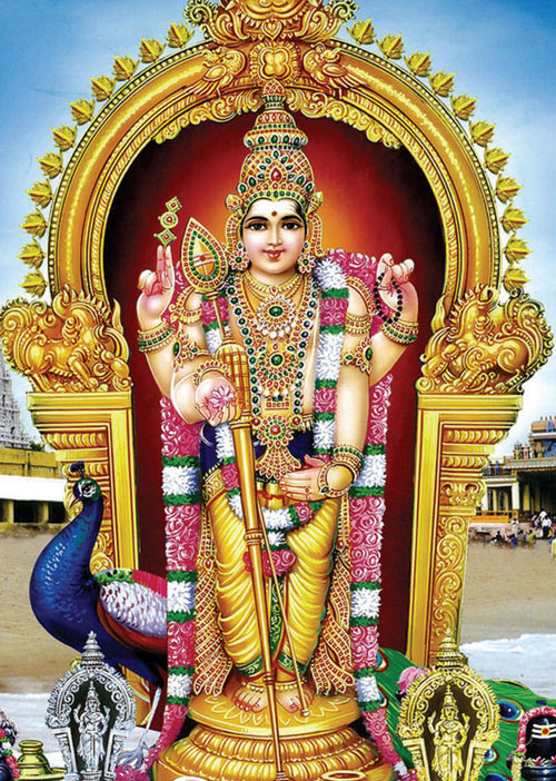 பூமி லாபம்! 