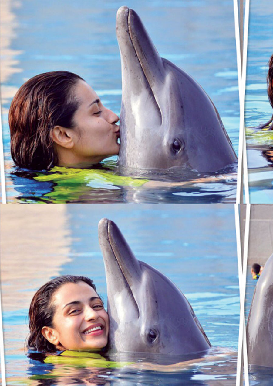 பரமபதம் விளையாடும் த்ரிஷா