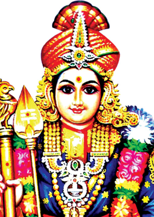 உங்களுக்கு அரசு வேலையா? தனியார்துறையா?