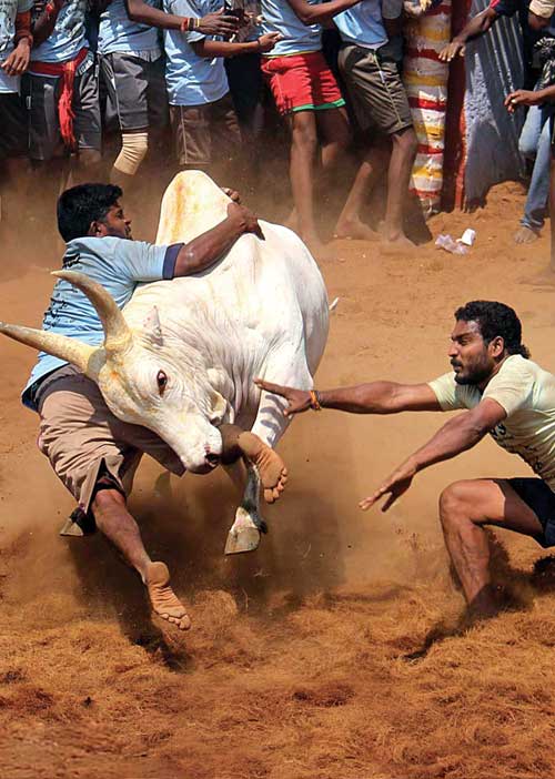 திண்ணைக் கச்சேரி! காத்திருக்கும் வனரோஜா! கலவரமாக்கிய விஜயவேணி!