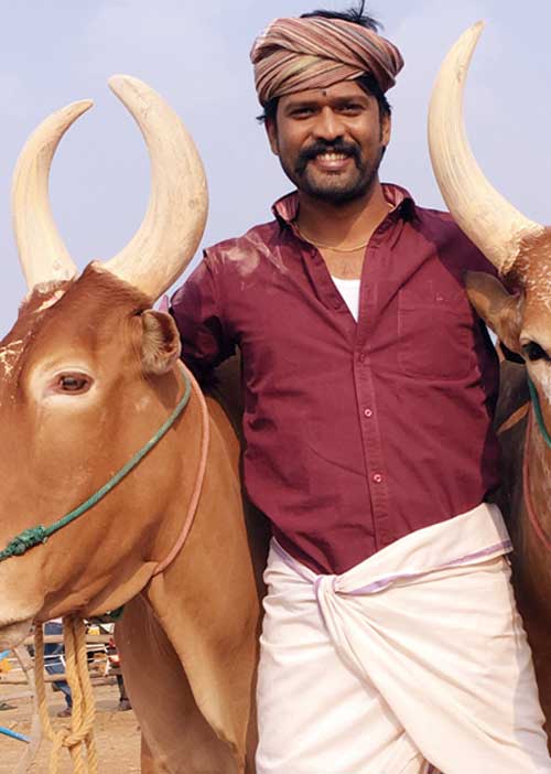 சிங்கங்களும் சௌந்தர்ராஜாவும்!