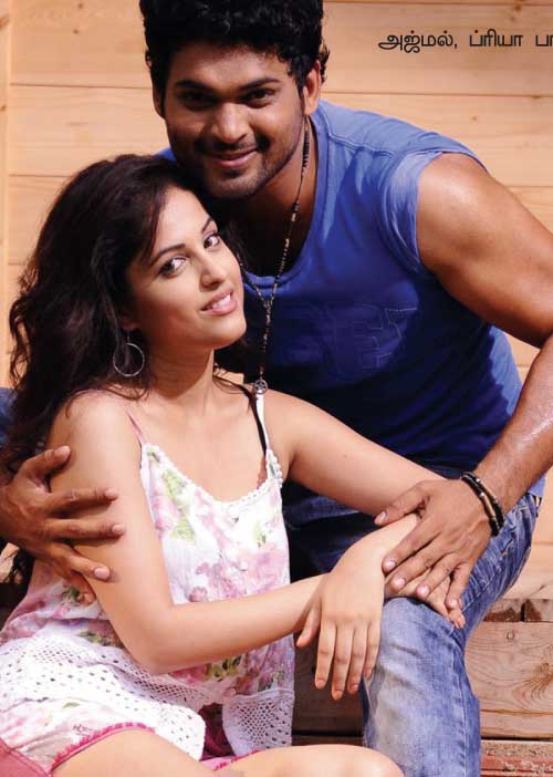 பிட்ஸ் பஜார்