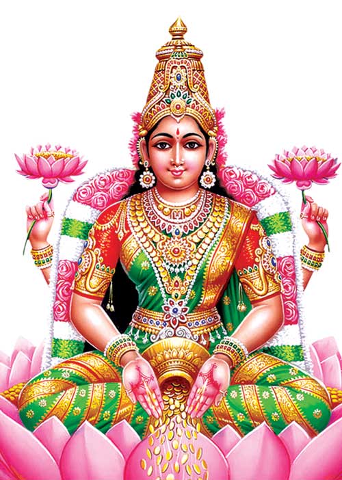 விரும்பியதை அடையச் செய்யும் வெற்றிக் குறியீடுகள்! - டி. ஜெயந்திஸ்ரீ