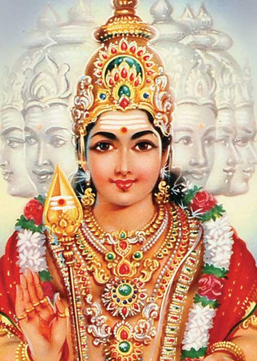 இந்த வார ராசி பலன் 17-2-2019 முதல் 23-2-2019 வரை