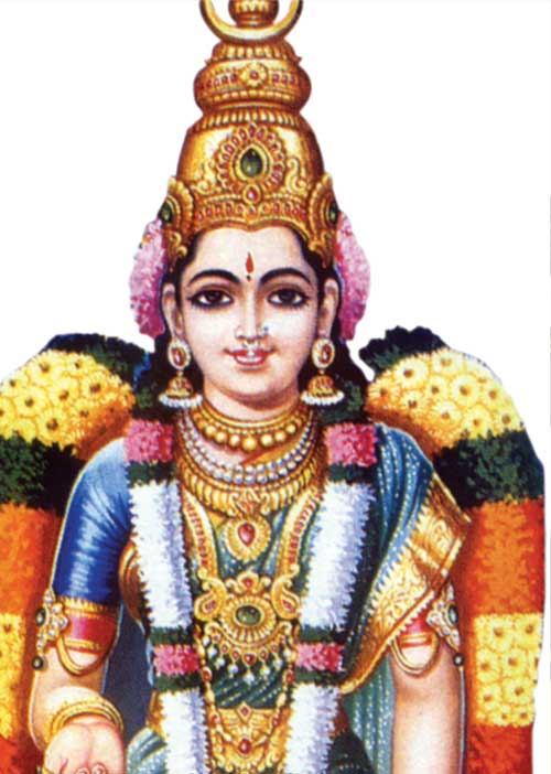 12 லக்னப் பலன்கள்! 