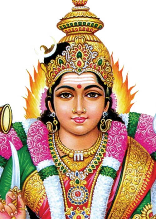 ஜோதிடபானு "அதிர்ஷ்டம்' சி. சுப்பிரமணியம் பதில்கள்	
