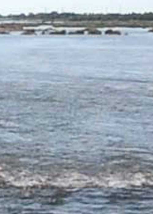 வக்கற்ற ஆட்சியால் வராத காவிரி! -தகிக்கும் டெல்டா!