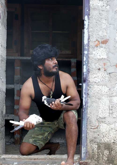 பைரி