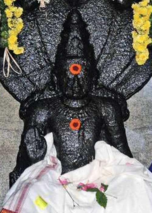 சர்ப்ப கிரக தோஷம் போக்கும் எளிய மார்க்கம்! -பிரசன்ன ஜோதிடர் ஐ. ஆனந்தி