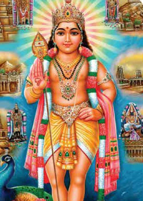 12 லக்னப் பலன்கள்! -முனைவர் முருகு பாலமுருகன் 24