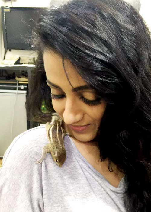 பிட்ஸ் பஜார்