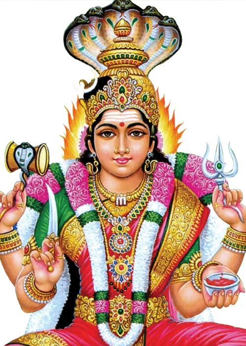 அற்புதங்கள் நிகழ்த்தும் ஆடிவெள்ளி விரதம்! பிரசன்ன ஜோதிடர் ஐ. ஆனந்தி