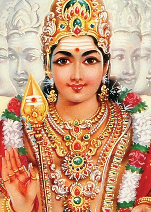 ஜோதிடபானு "அதிர்ஷ்டம்' சி. சுப்பிரமணியம் பதில்கள்	