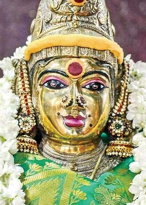 விதவைப் பெண்ணைத் திருமணம் செய்பவர் யார்? -மகேஷ் வர்மா