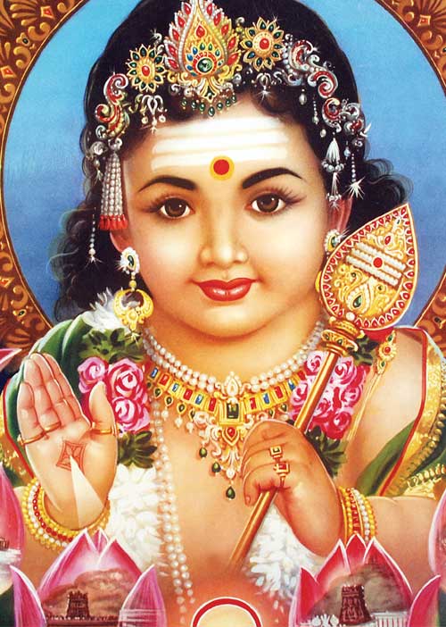 12 ராசி 27 நட்சத்திரத்தினருக்கு 2020 ஜனவரி மாதப் பரிகாரங்கள்! - பண்டிட் எம்.ஏ.பி. பிள்ளை