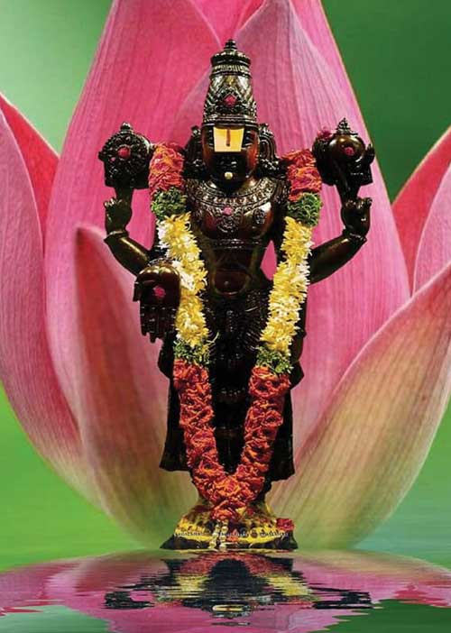 12 ராசி 27 நட்சத்திரத்தினருக்கு 2020 ஜனவரி மாதப் பரிகாரங்கள்! சென்ற இதழ் தொடர்ச்சி