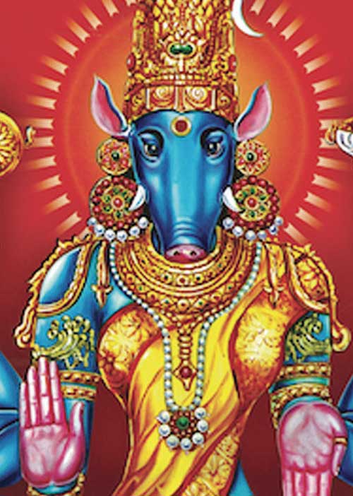 விருப்பஙகளையெல்லாம் ஈடேற்றும் ஸ்வப்ன வாராஹி வழிபாட்டு ரகசியம்! - கே. குமார சிவாச்சாரியார்