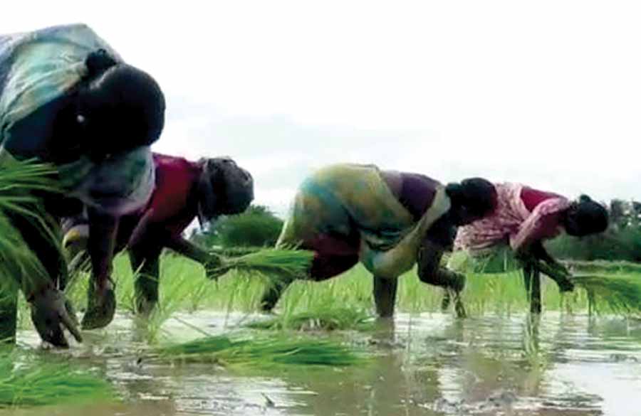 வேளாண் மண்டலம் சாத்தியமா? -ஒரு அலசல் ரிப்போர்ட்