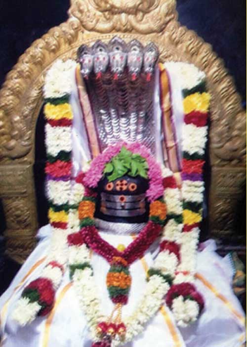 தீராத நோய் தீர்த்தருளும் சூலூர் வைத்தியநாதசுவாமி! -கோவை ஆறுமுகம்