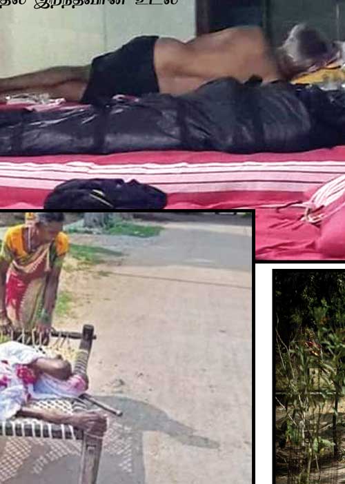 மாவலி பதில்கள்