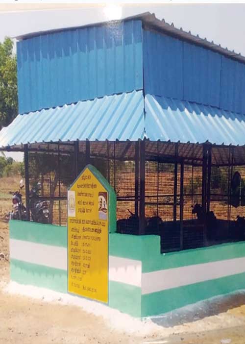 மாட்டுக் கொட்டகையிலும் ஊழலோ ஊழல்! -கொதிக்கும் விவசாயிகள்!