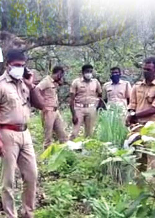 கேரளாவில் தமிழகத் தீவிரவாதிகள்? -காட்டைச் சலித்தெடுக்கும் போலீஸ்