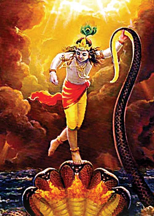 சரிப்பட்டு வராது! யாருக்கு-எது? -ஆர். மகாலட்சுமி