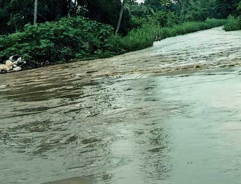 வளமான வாழ்வருளும் குறிச்சி வாலீஸ்வரர்! -கோவை ஆறுமுகம்