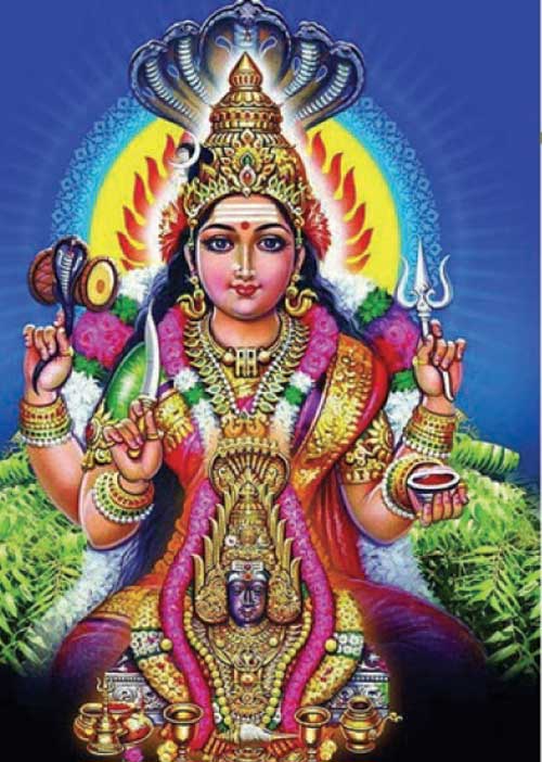 விஷக் கன்னிகா தோஷம்! 