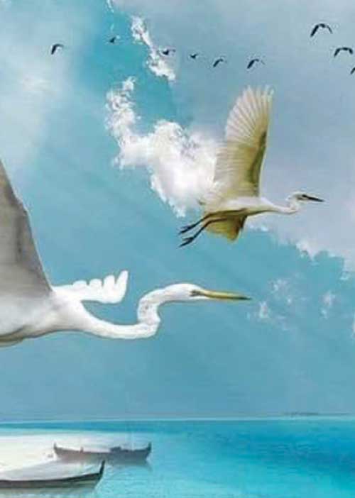 நான் எழூத்தாளன் ஆன கதை! -எழுத்தாளர் -புல்புல் கலைஞர் கே.ஜி.ஜவஹர்