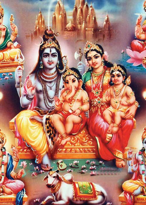 குலவிருத்தி தரும் குடும்ப விருட்ச ரகசியம்! - கே. குமார சிவாச்சாரியார்